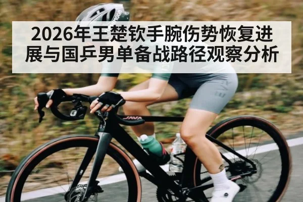2026年王楚钦手腕伤势恢复进展与国乒男单备战路径观察分析
